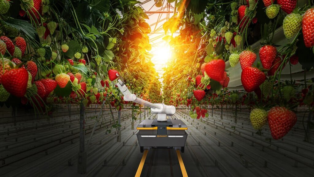 Continental y Amazon Web Services lanzan soluciones avanzadas para robots móviles autónomos