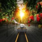 Continental y Amazon Web Services lanzan soluciones avanzadas para robots móviles autónomos
