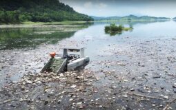 Clearbot: Botes Autónomos con IA para Limpiar Vías Fluviales y Combatir la Contaminación